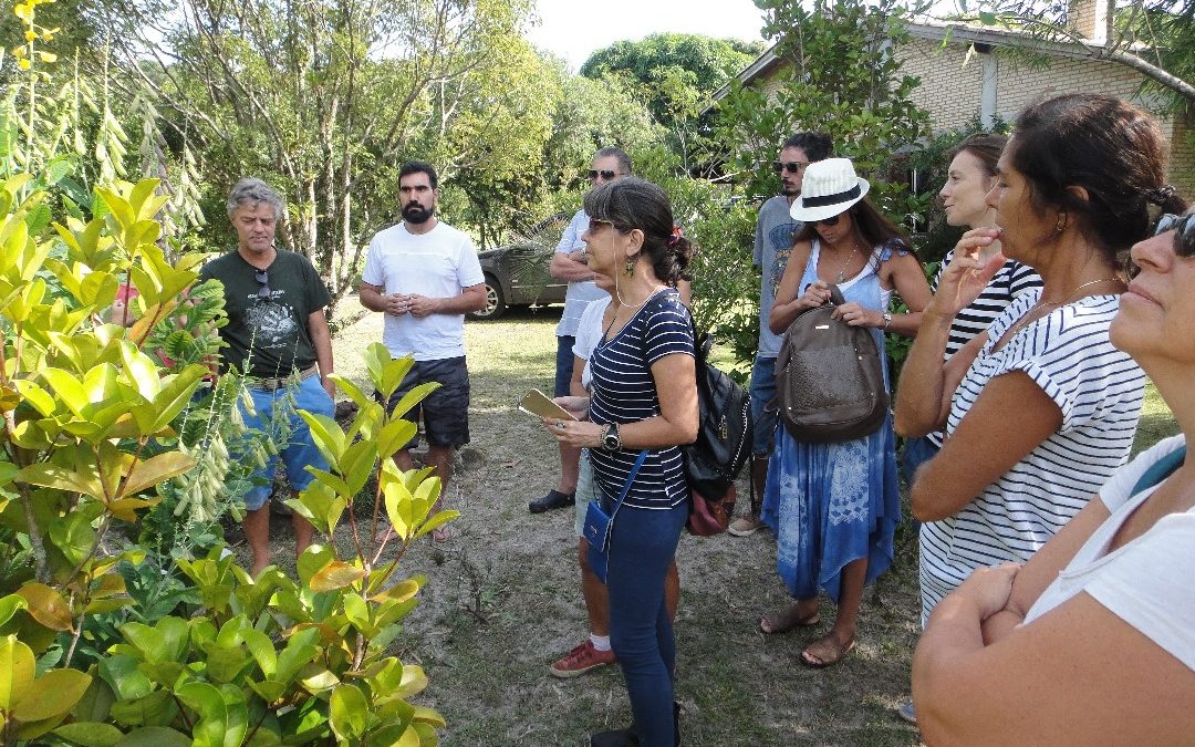 Como fazer um Jardim Ecológico