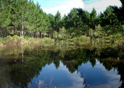 Ambiente Aquático Construído