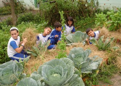 Oficina para construção de Horta Escolar