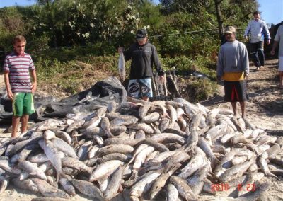 Pesca artesanal da Tainha